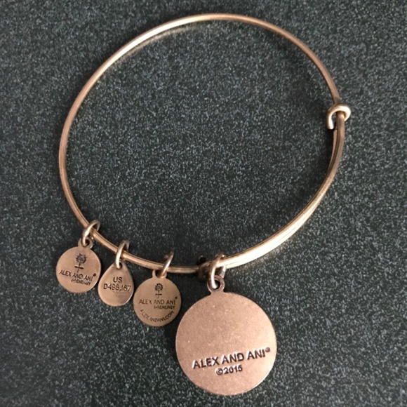 Alex and Ani Expandable Wire Bangle Bracelet 2015 - Picture 6 of 13